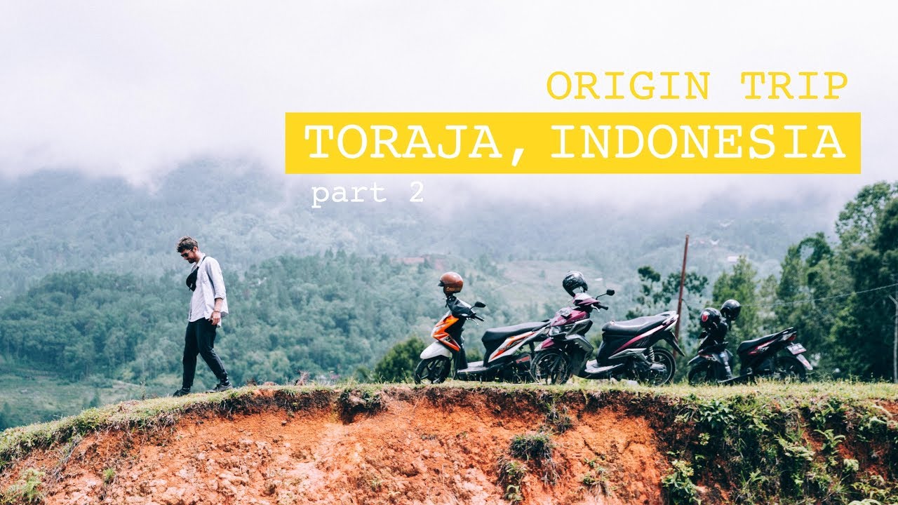 Exploring COFFEE in Toraja, Indonesia