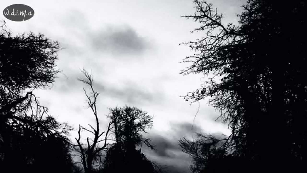 Aaskereia - Als der Blick erlosch (lyrics)