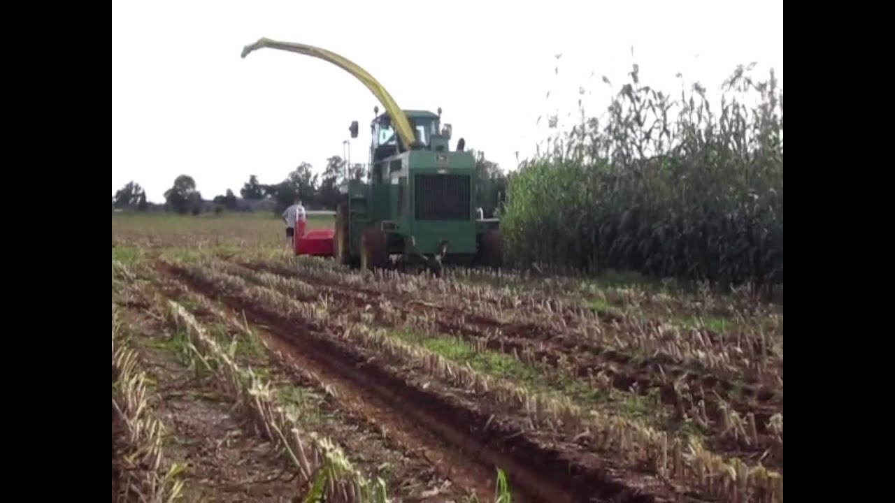 Trinciatura Sorgo con: John Deere 6710+Kemper r6 John Deere 7810+Vaia 2 assi e Fiat 130/90