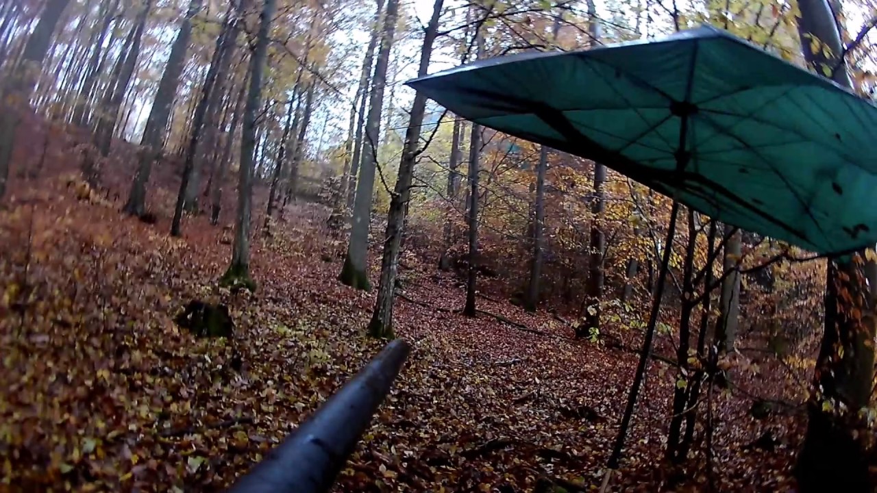 Wild boar hunt germany 2016/ Drijfjacht Zwijnen