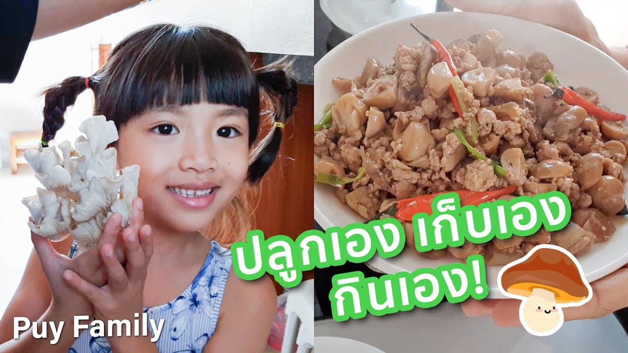 เห็ดออกใหม่ อันใหญ่เท่าหน้าหนูยิ้ม! Puy Family