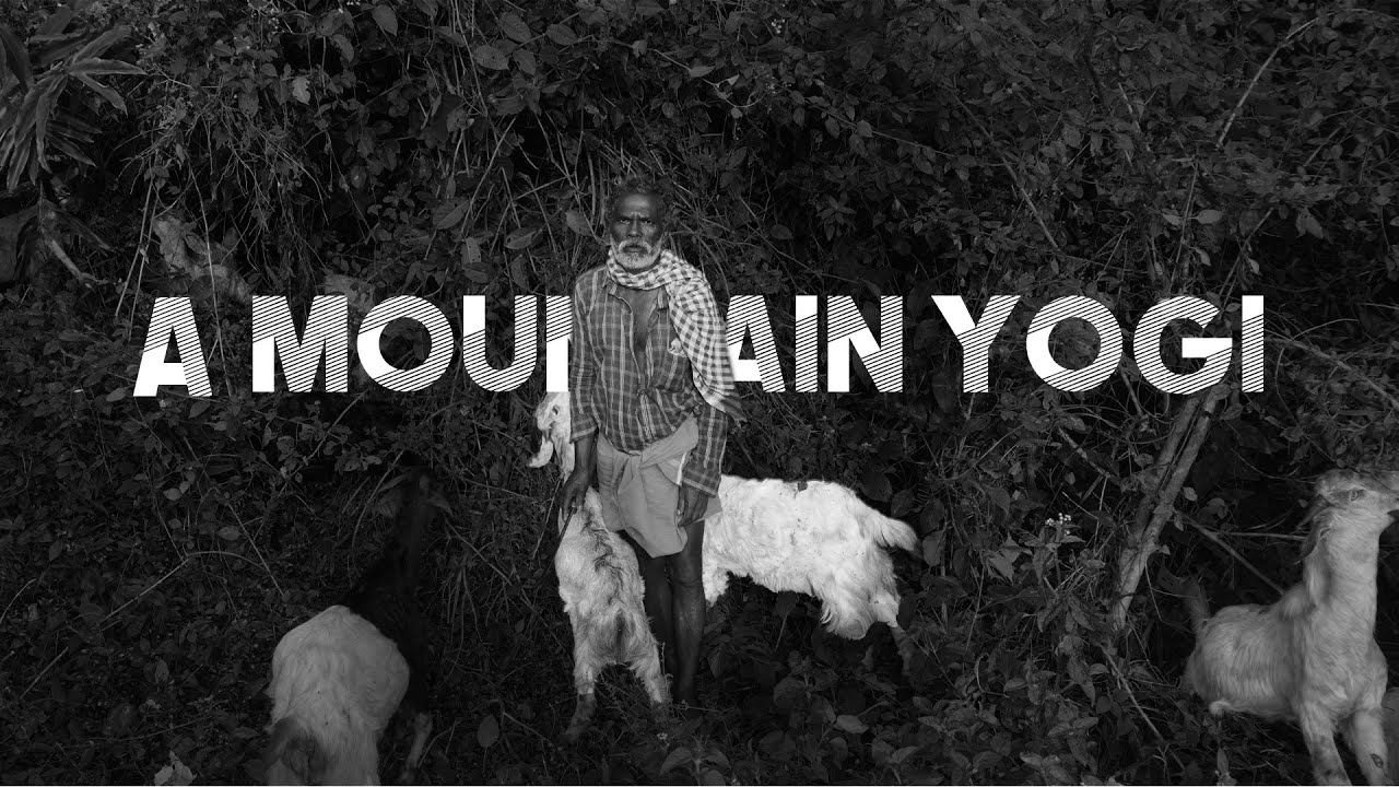 A MOUNTAIN YOGI | observational documentary