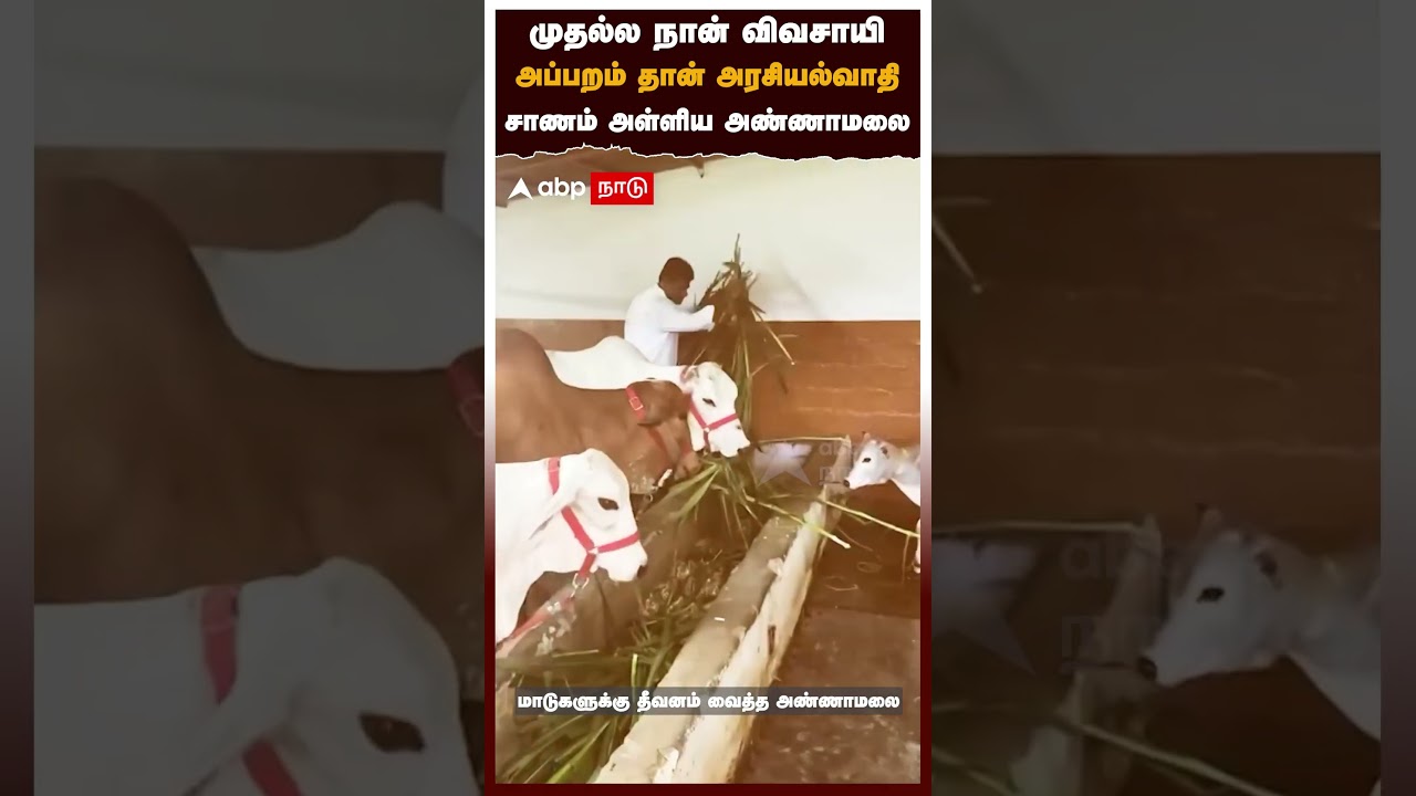 முதல்ல நான் விவசாயி அப்பறம் தான் அரசியல்வாதிசாணம் அள்ளிய அண்ணாமலை | Annamalai | BJP