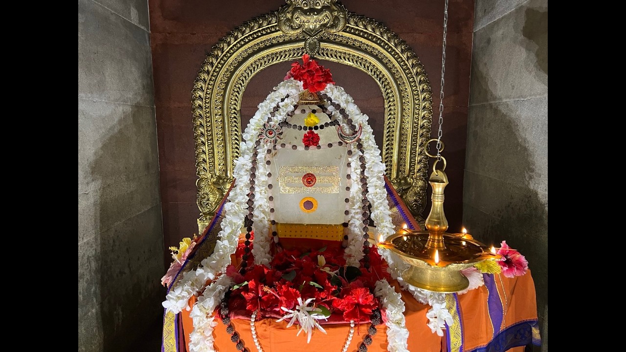 Satguru Bodhinatha Veylanswami’s talk during Mahasivaratri