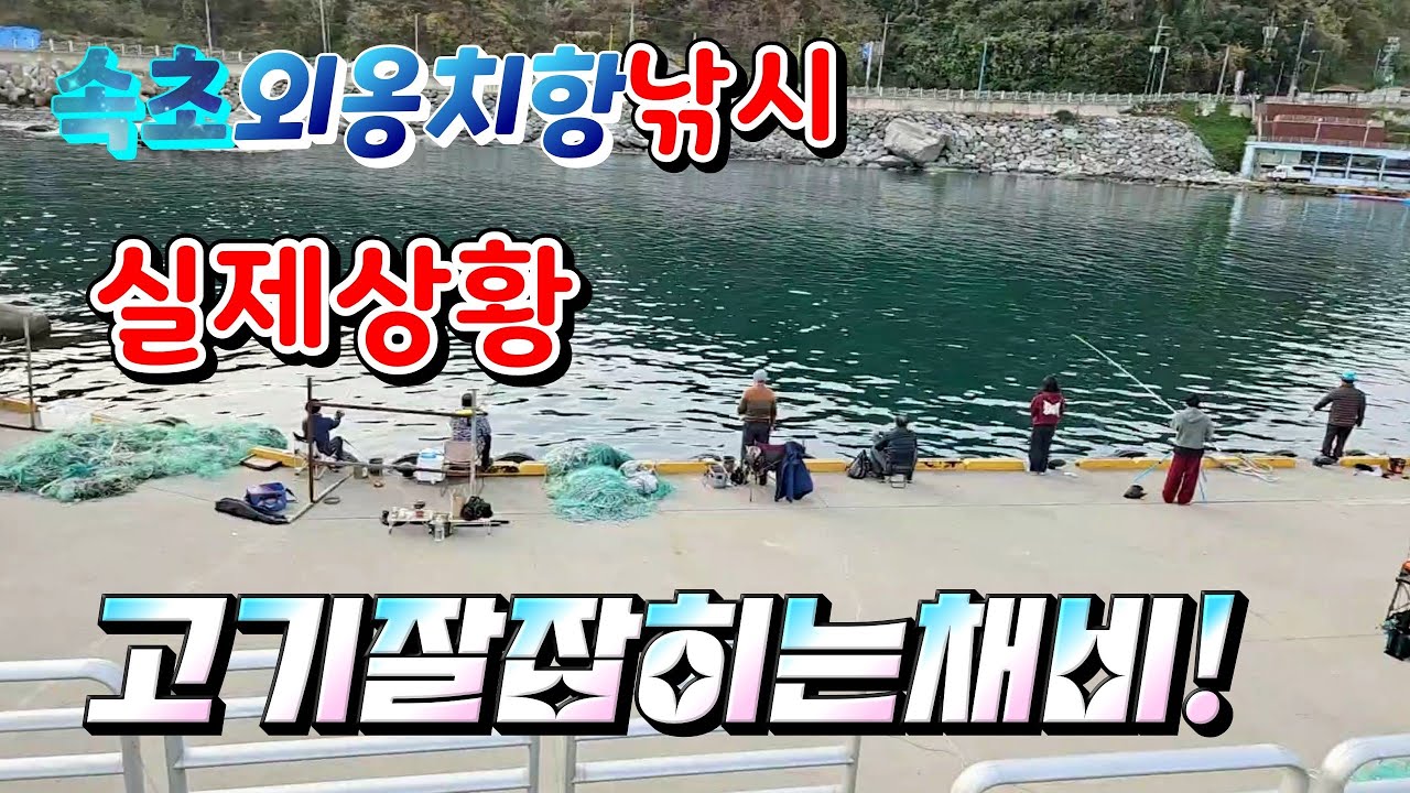 속초 외옹치항낚시 실제상황.( 송여사만 고기를 잡는데 더 잘 잡는법을 알려주는 메가톤급님이 나타났다.)