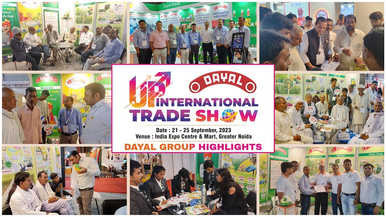 Glimpse of Dayal Group Stall in UP International Trade Show 2023 - Greater Noida