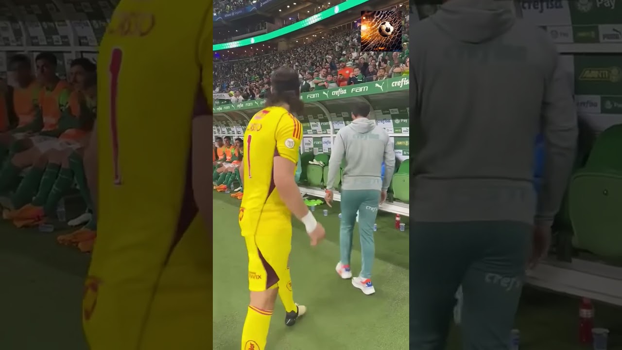 Cassio cumprimentando Abel Ferreira e Weverton #shorts