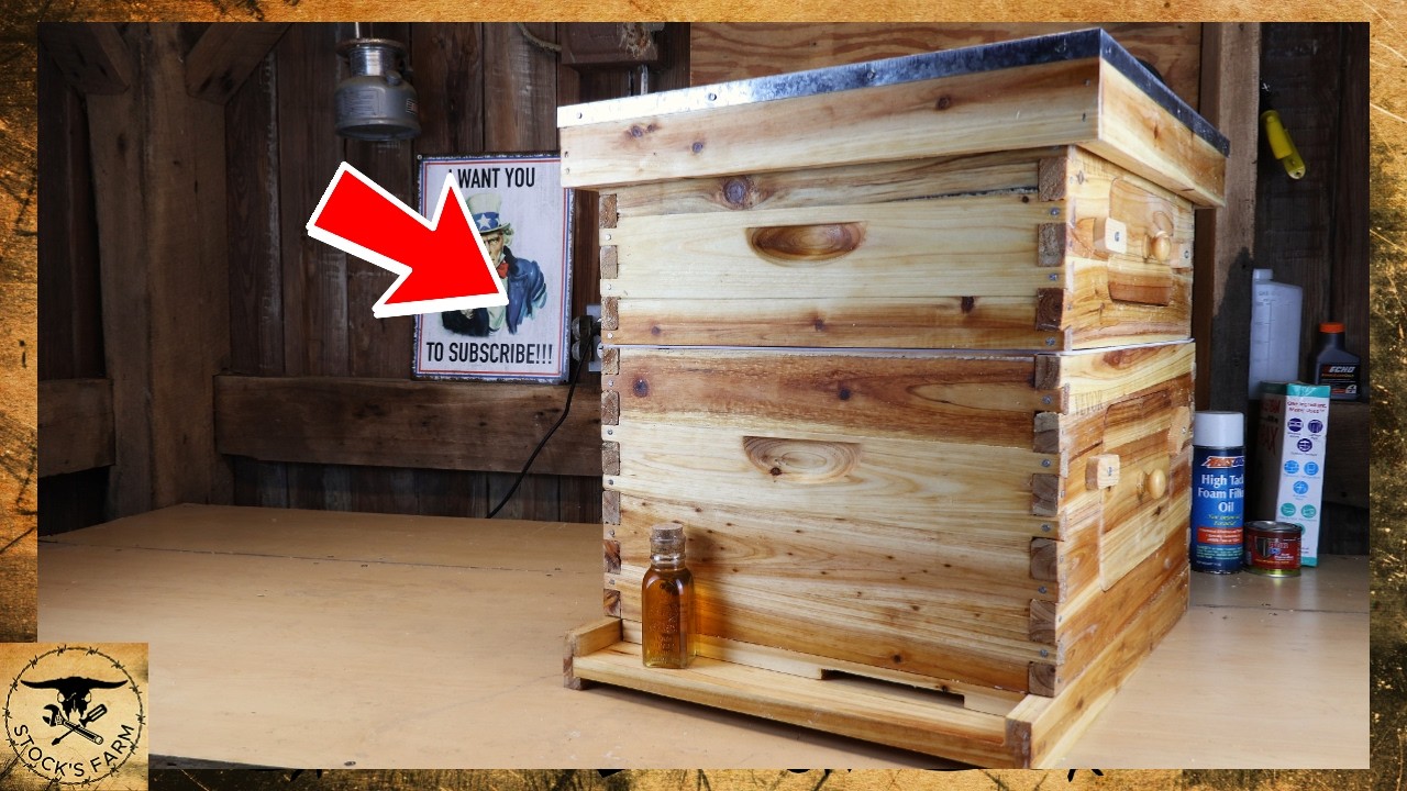 The Best Bee Hive for New Beekeepers