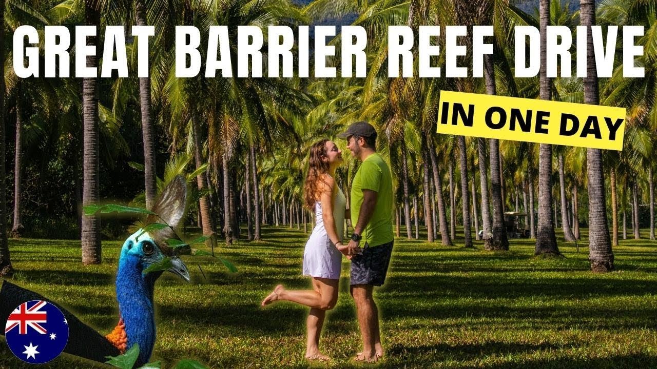 11 Best Stops on the Great Barrier Reef Drive | Port Douglas, Daintree Rainforest | Australia Vlog