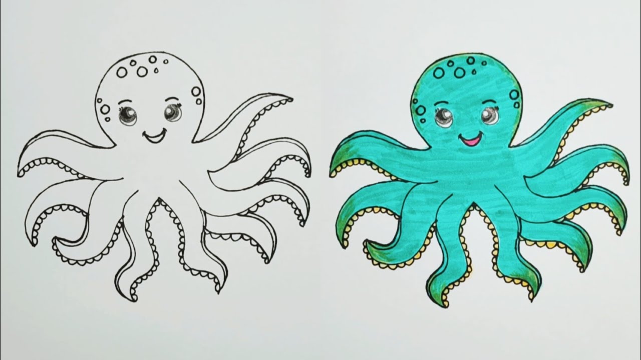 How to Draw an Octopus!! Easy Drawing.