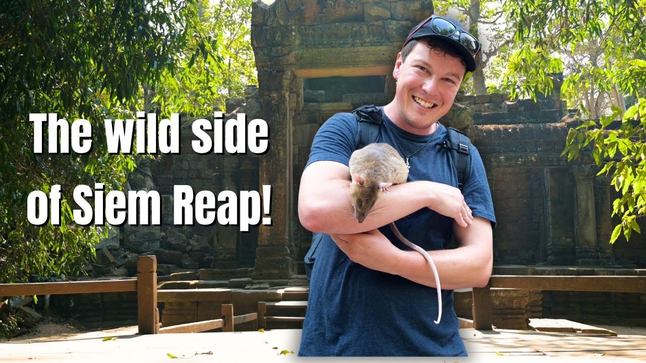 The Best of Siem Reap & Angkor Wat! // Cambodia