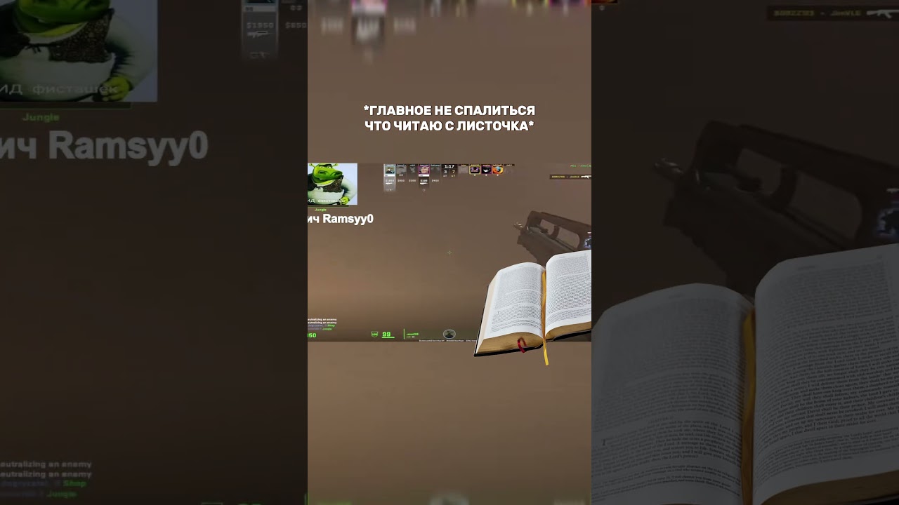 СУМАСШЕДШИЙ ИГРОК С ЛИСTОЧКОМ  #cs2  #memes