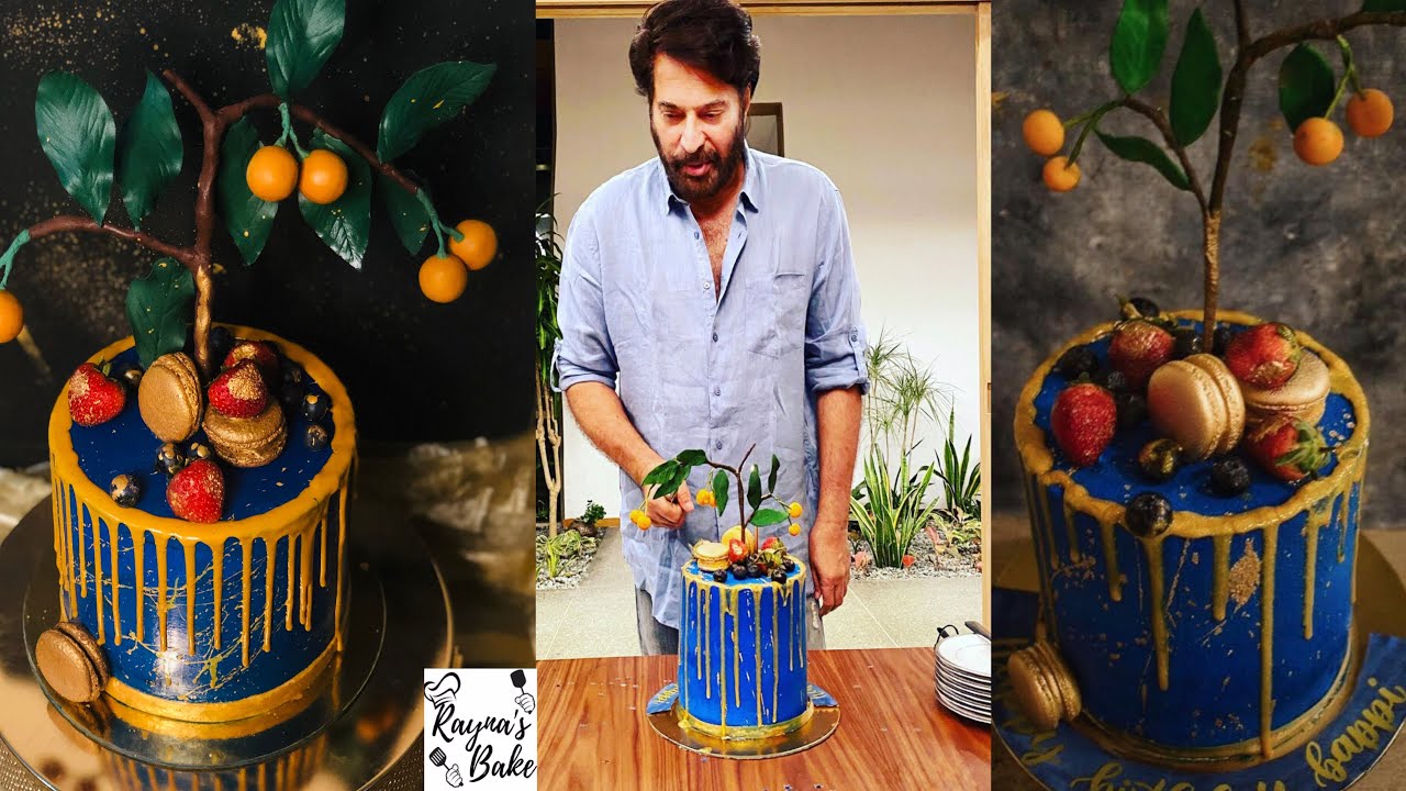 Mammooty's Birthday Cake /Recreation/അങ്ങനെ ഞാനും ഉണ്ടാക്കി മമ്മൂക്കയുടെ ബർത്ഡേയ് കേക്ക്