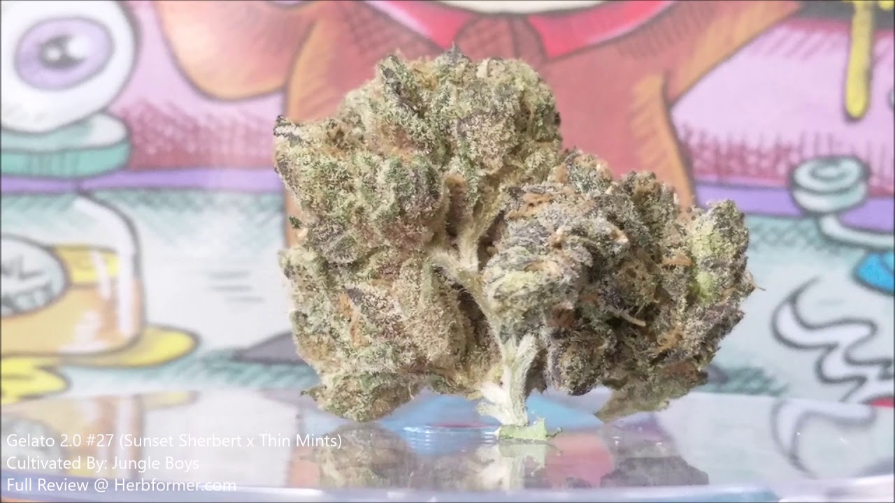 [Jungle Boys] Gelato 2 0 #27