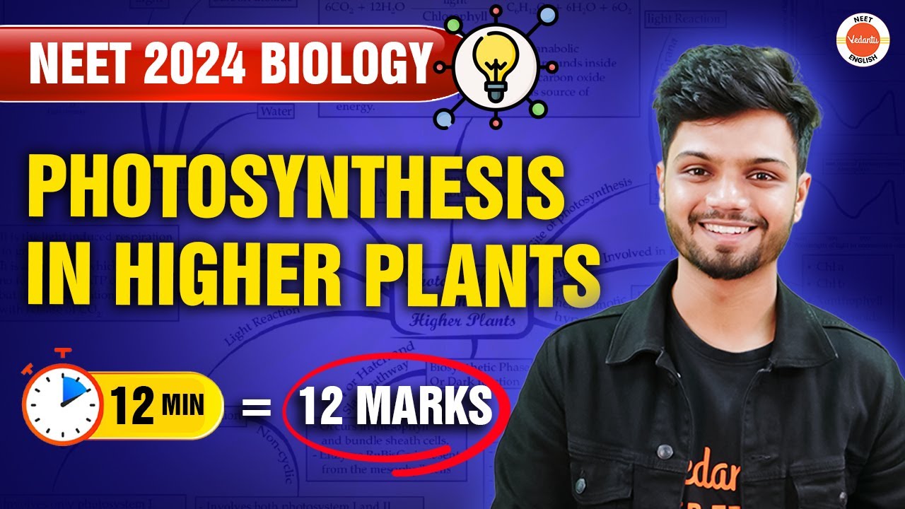 PHOTOSYNTHESIS IN HIGHER PLANTS in 12 minutes | Mind map | Complete Chapter for NEET