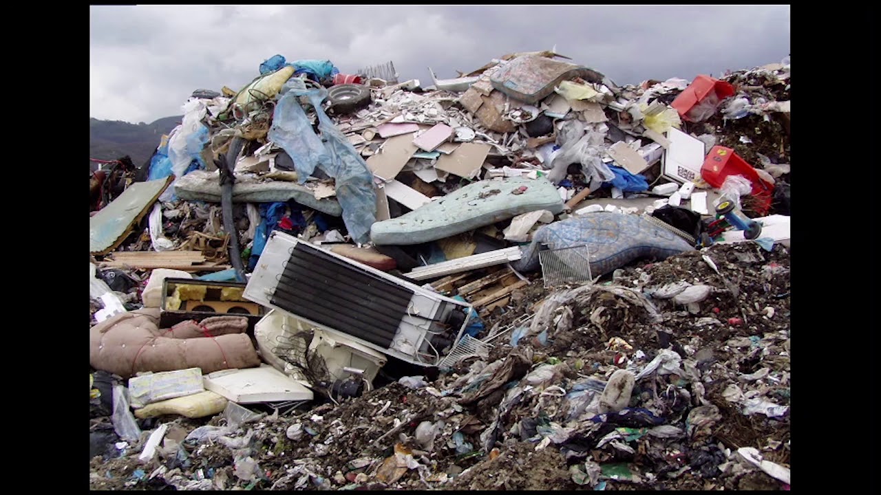 Dalla linea al cerchio – L’economia circolare