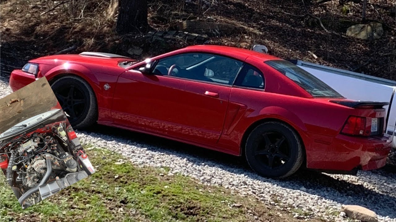 1999-04 Mustang Gt Injector Replacement