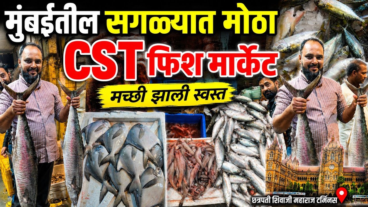 ५०रु. किलोने मासे 😱| मुंबईतील सगळ्यात मोठा होलसेल फिश मार्केट | CSMT Fish Market in Mumbai | Fish 