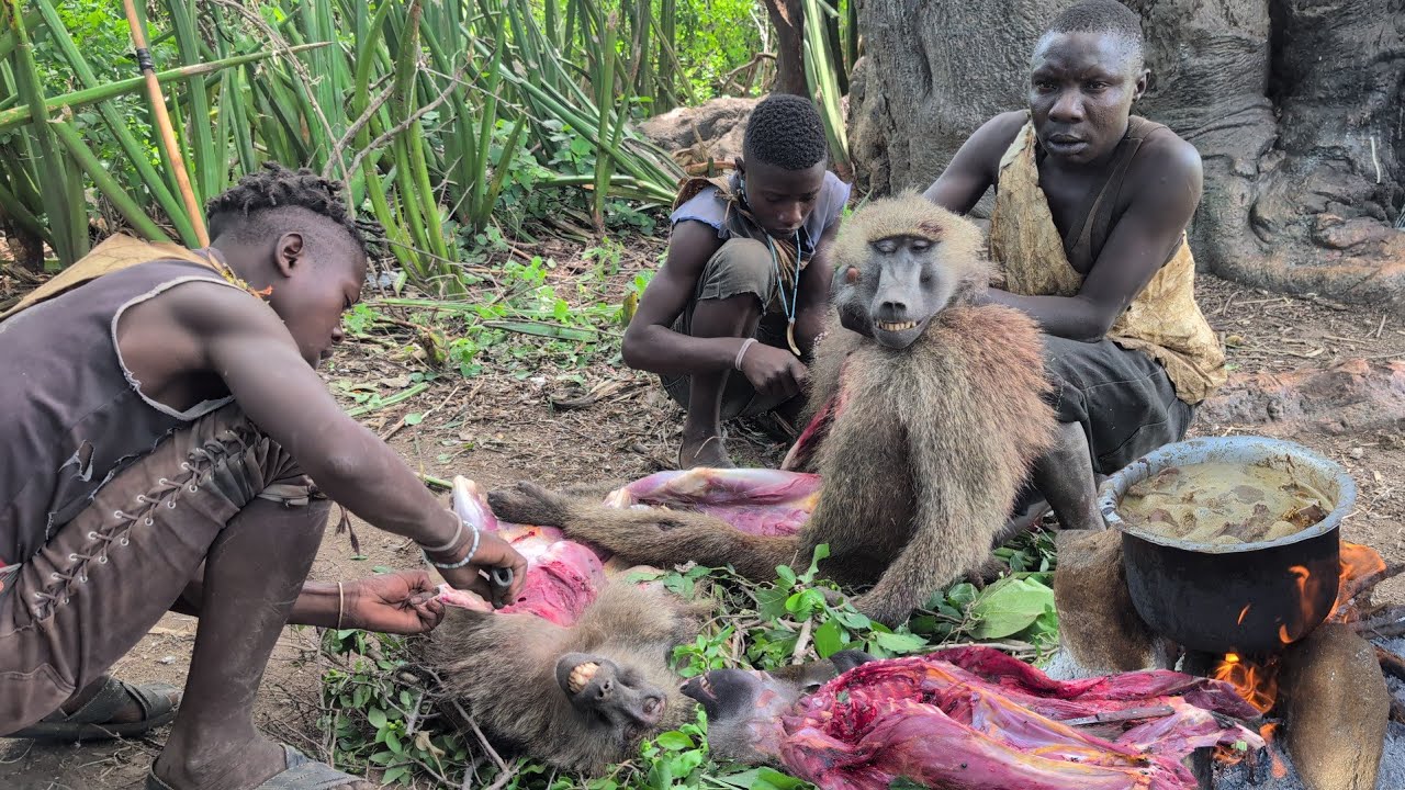 Узнайте, каково это &ndash; есть мясо дикого бабуина вместе с бушменами племени хадзабе.