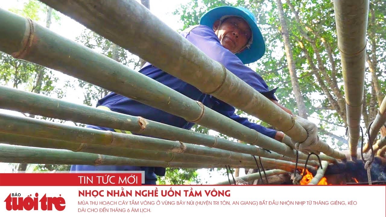Nhọc nhằn nghề uốn tầm vông