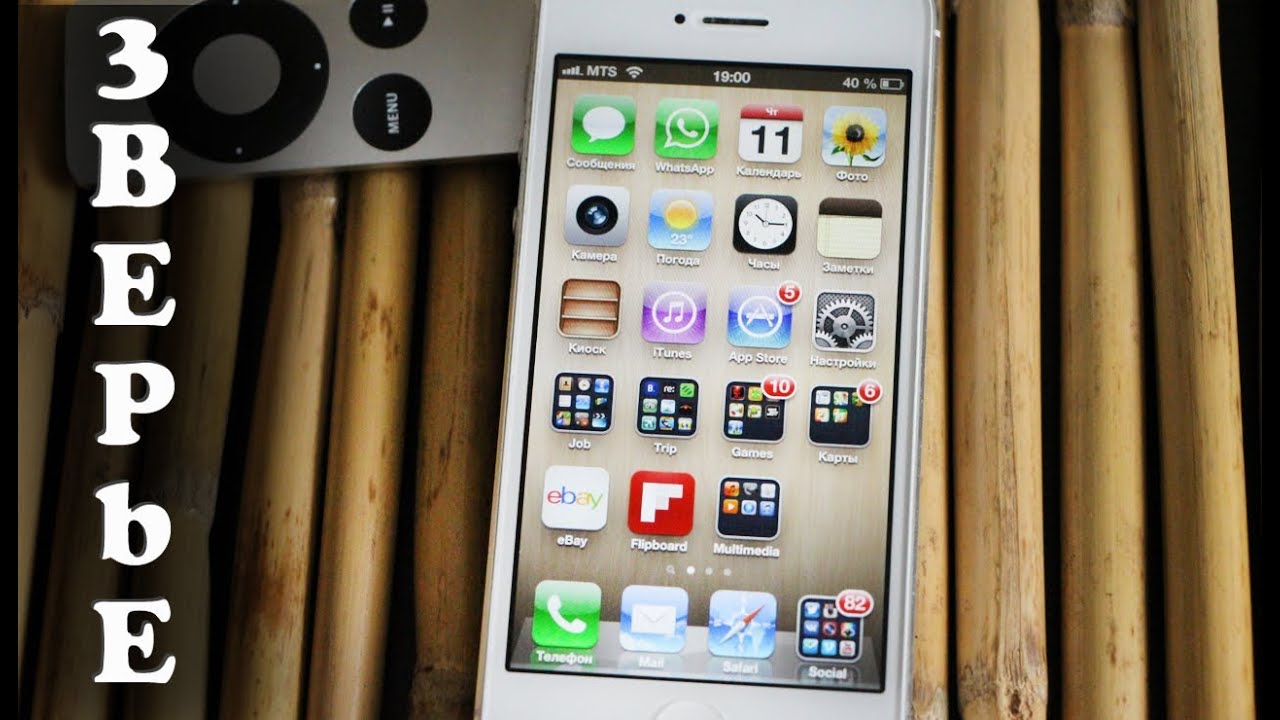 Что в моем iPhone 5