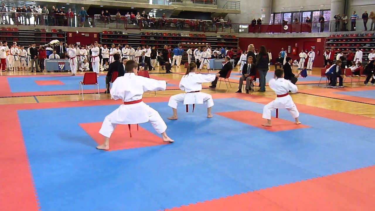 Cto. Madrid 2015 BunKai Nipaipo Olimpia Alevin