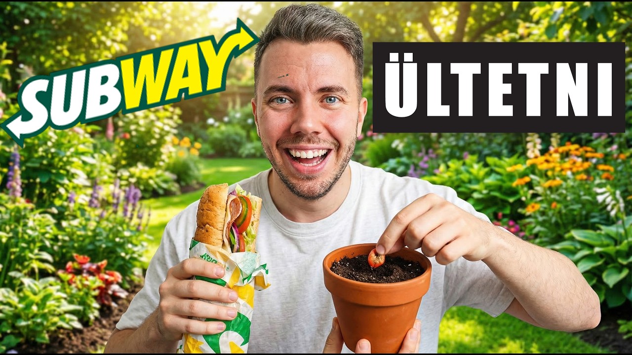 Я посадил помидоры из сэндвича Subway!