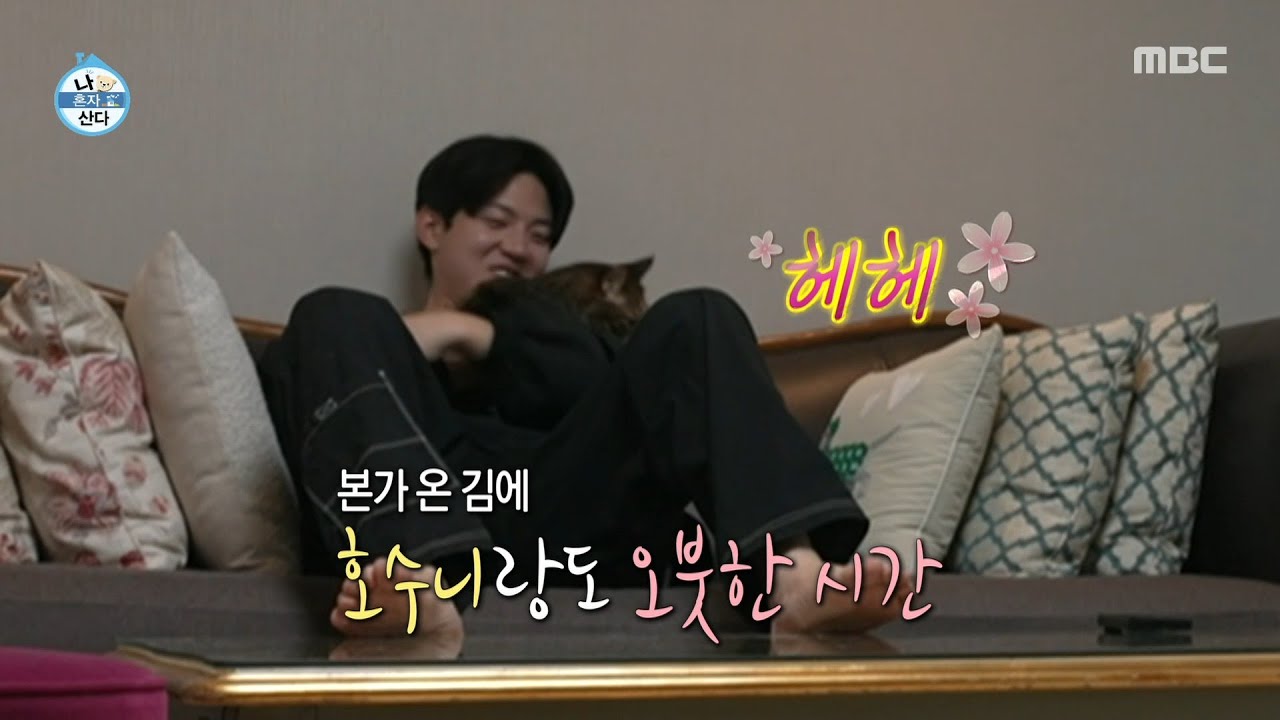 [나 혼자 산다] 본가에 온 도운😸 얌전한 토리와 앙칼진 호수니, MBC 251003 방송