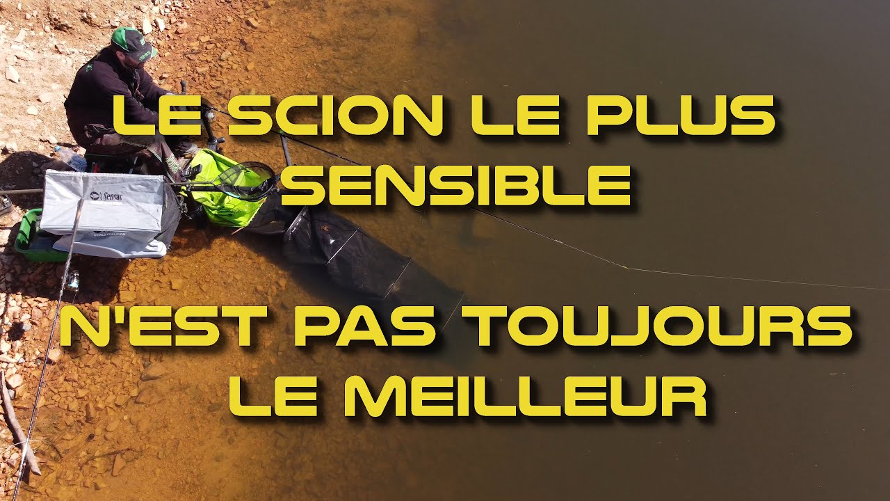 A la pêche au FEEDER le scion le plus fin est il le meilleur ? #feeder #pêche #skimmer