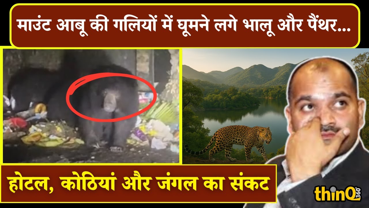 Mount Abu | Bear | leopard | जब जंगल छिन गया, तो माउंट आबू में जानवर पहुँचे इंसानी घरों तक!