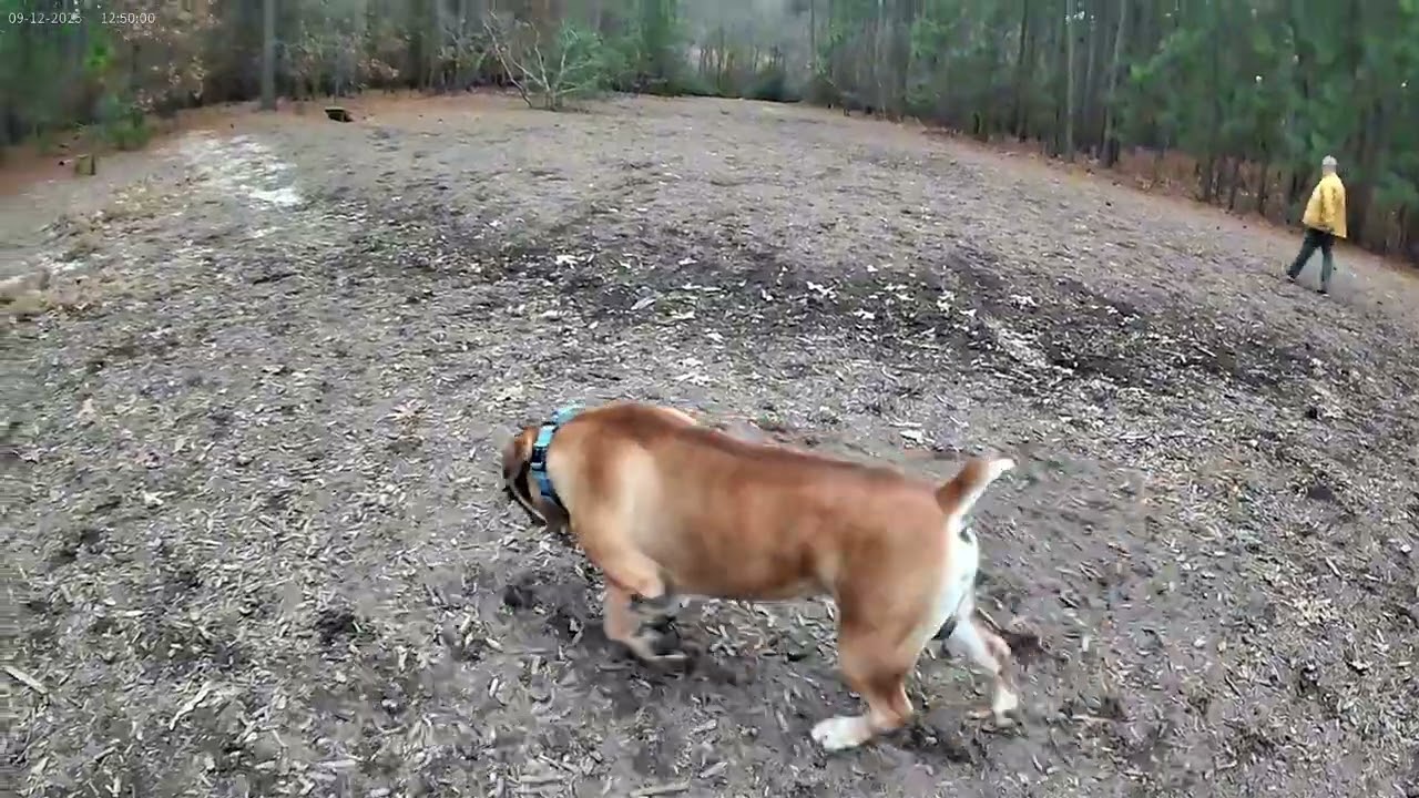 making friends at the park
