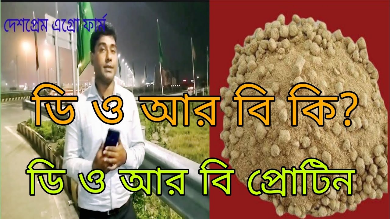 ডি ও আর বি কি?ডি ও আর বি প্রোটিন কত। ডি ও আর বি কিভাবে তৈরী হয়।#ডি ও আর বি#ফিসমিল#অরগানিক খাবার#
