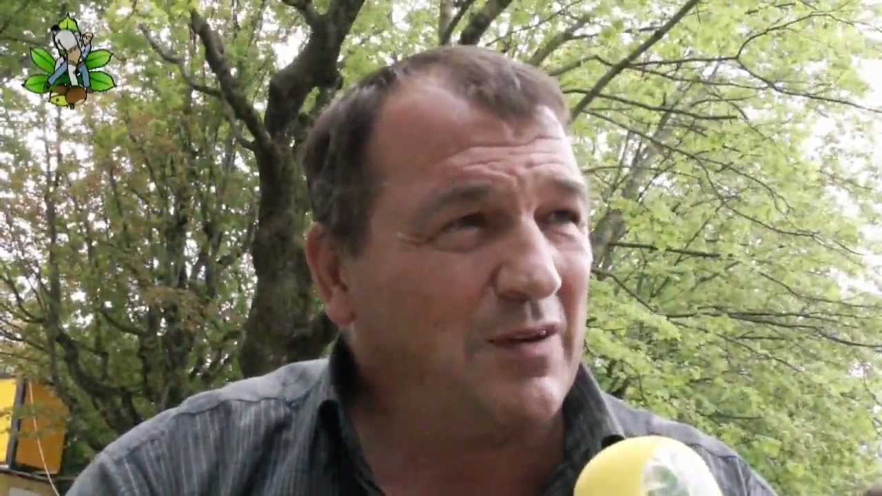 Schwingerkönige als Jungschwinger: Ernst Schläpfer