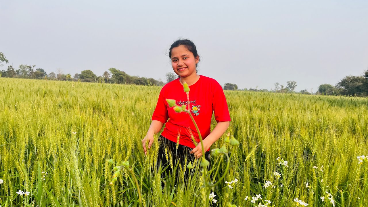 Apna khet part 1 Itne saare monkey khet ke raste pr