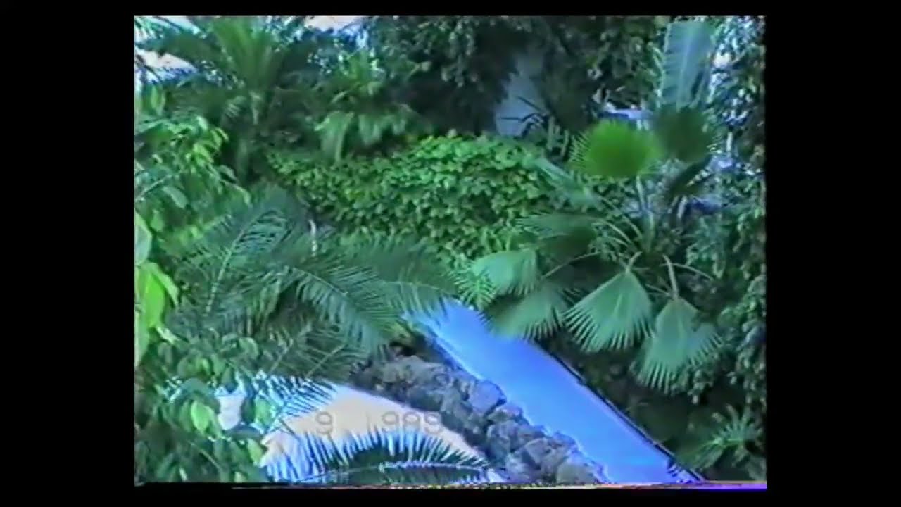 Center Parcs De Vossemeren Belgien September 1989 Pool Schwimmbad