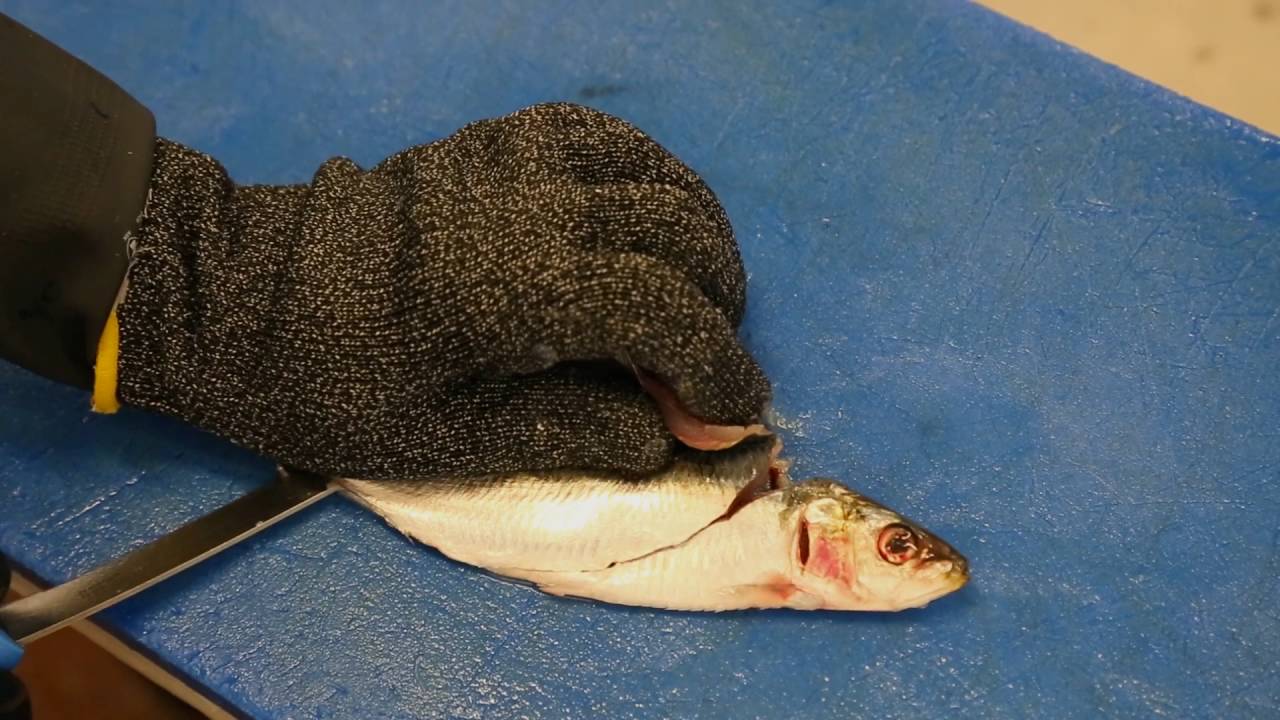 Direct Seafoods: How to Butterfly Fillet a Sardine