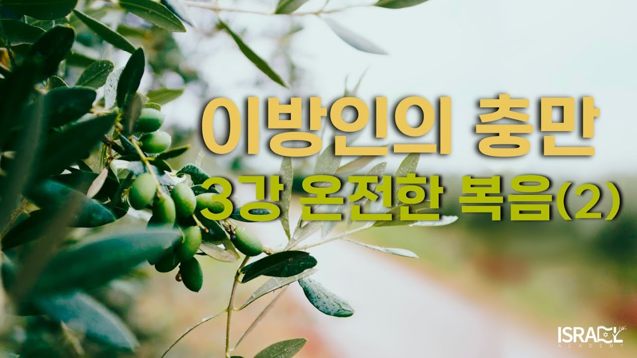 [이방인의 충만] 3. 온전한 복음(2) 올리브나무
