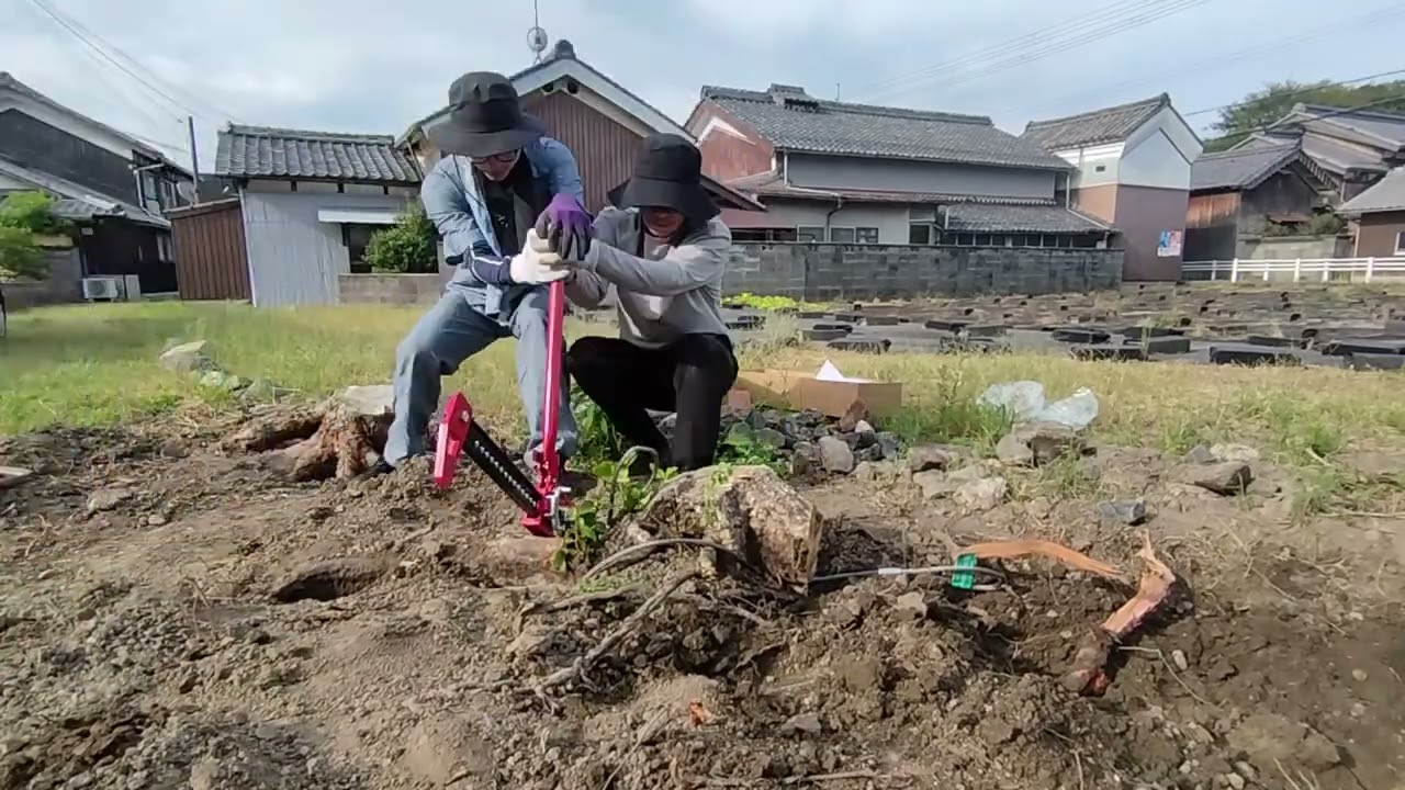 【古民家DIY】ミドルリフトジャッキで抜根する