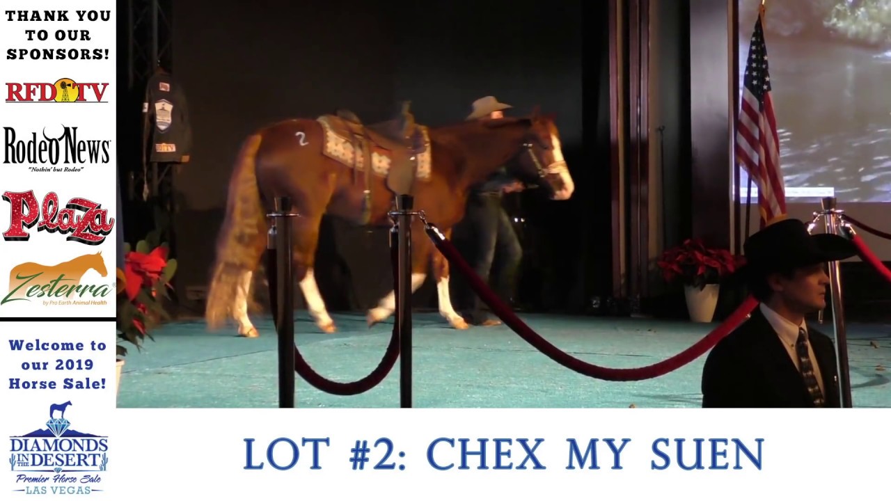 2019 Sale ~ Diamonds in the Desert Premier Horse Sale