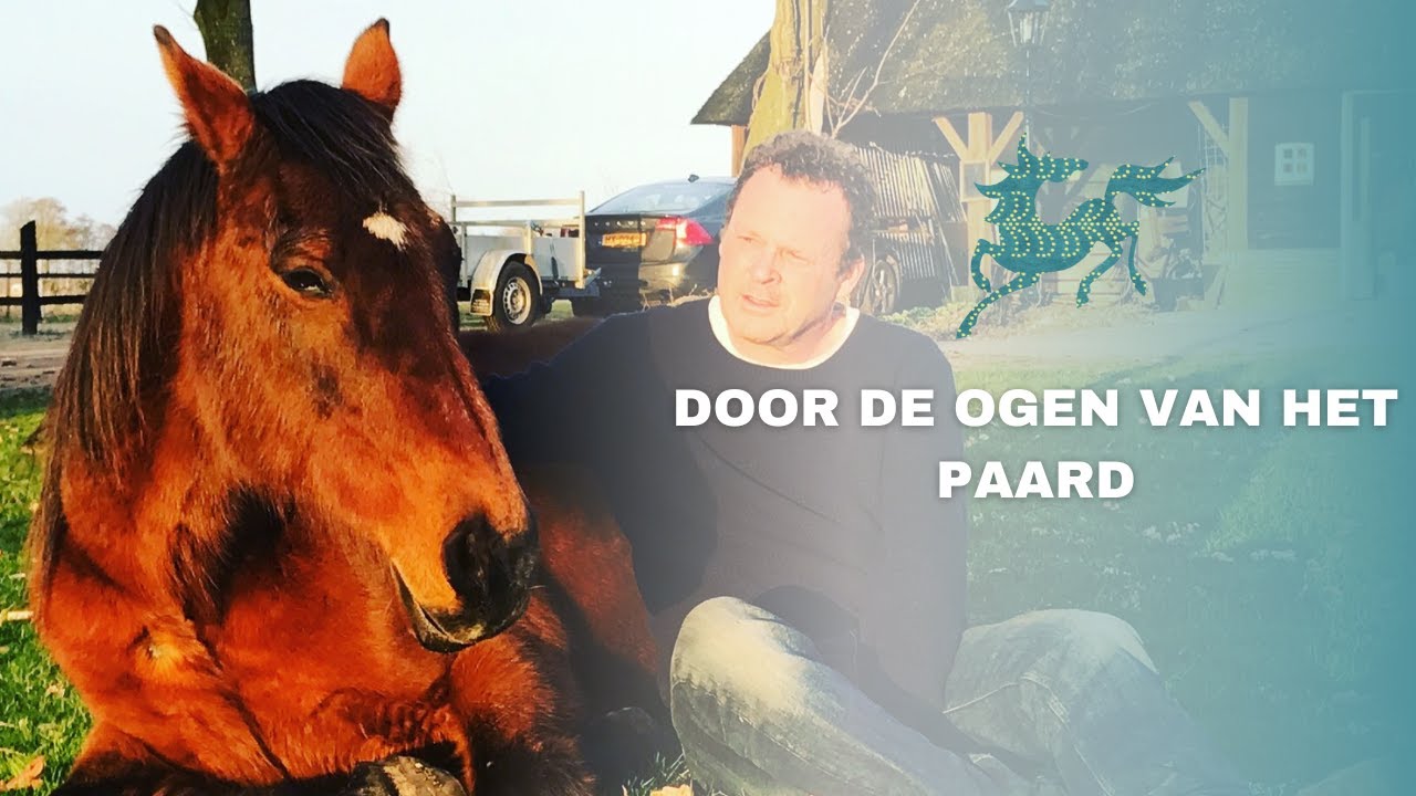 Paardencoaching, de podcast | Door de ogen van het paard - met Ruud Knaapen | S1, A8