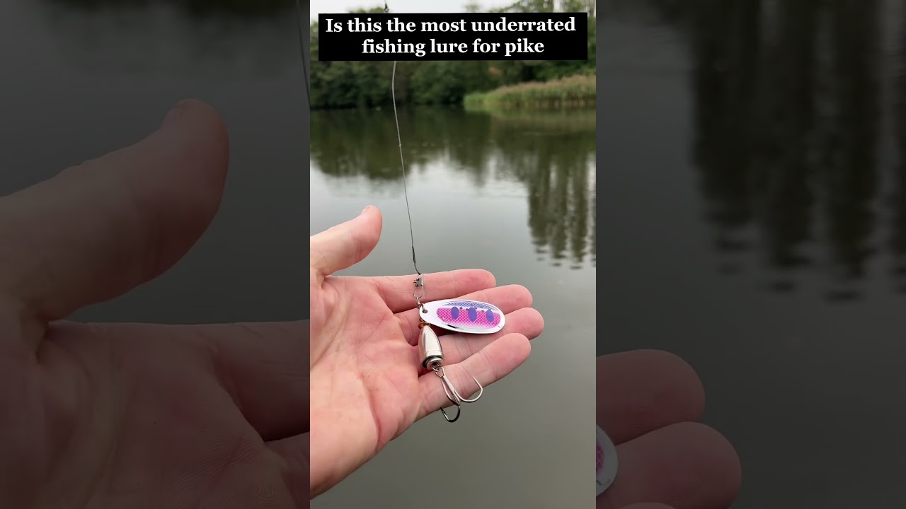 Most underrated lure the spinner! #pikefishing #pike #fishing