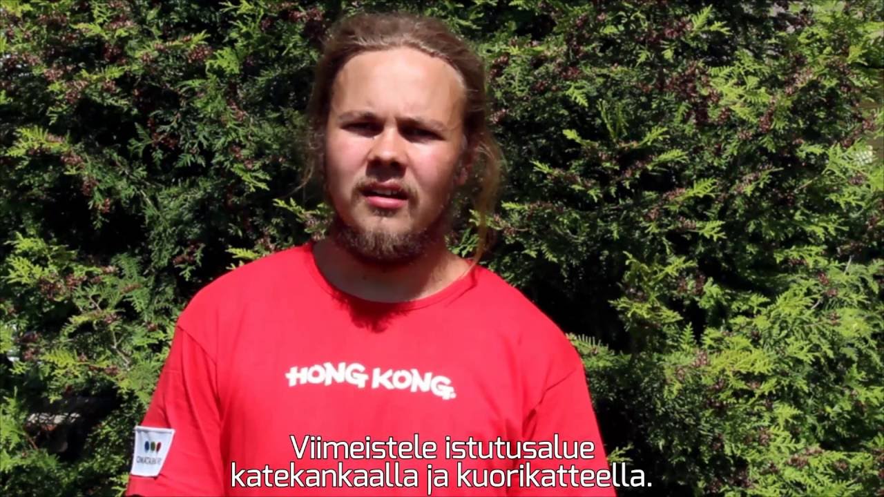 Tuija-aidanteen istutus