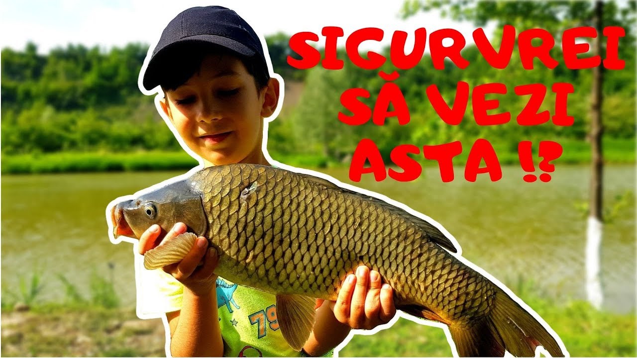 PESCUIT CU PERIPEȚII PARTEA A DOUA ! Au sărit crapii pe noi ! (INTRO)