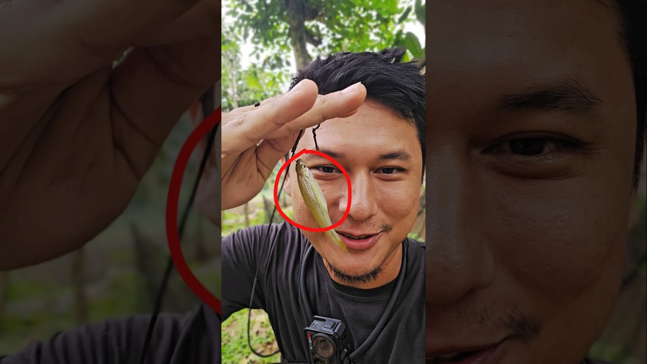 MANCING WADER ITU SUSAH😭