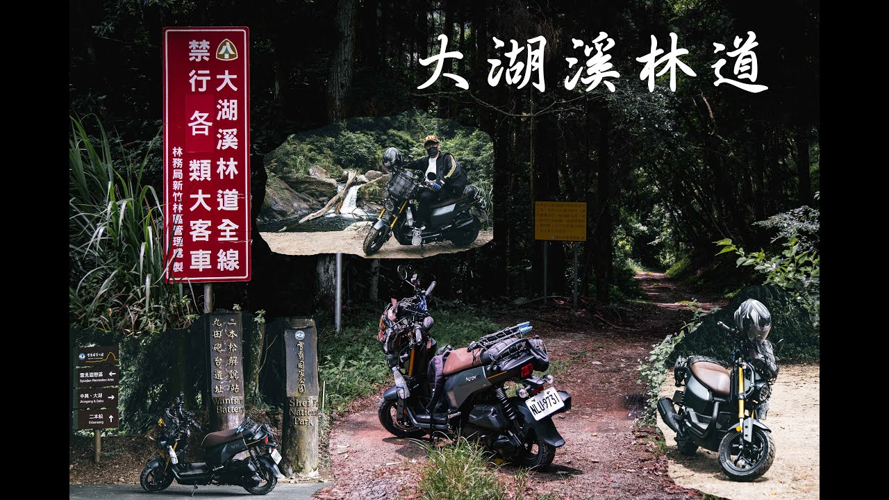 #司馬限林道 #大湖溪林道 #KRN