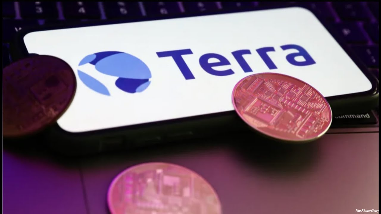 The Collapse of the Terra Ecosystem Explained