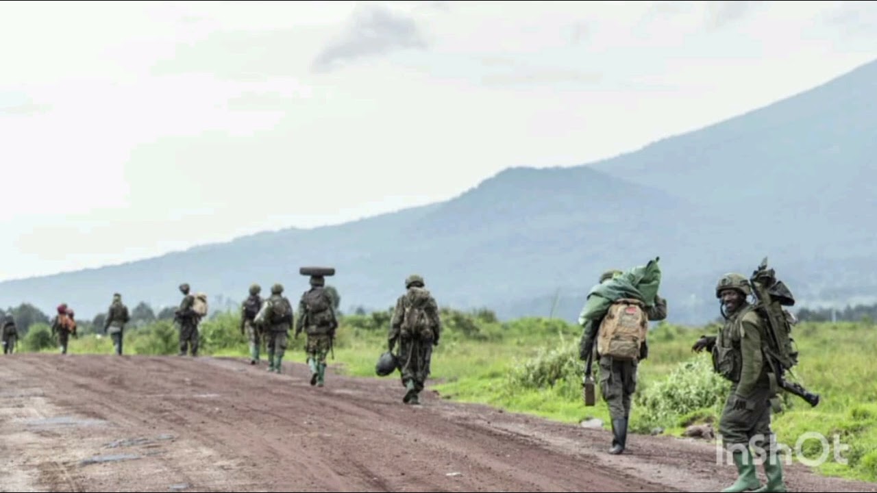 La guerre interminable des ADF. Qui y mettra finalement fin?