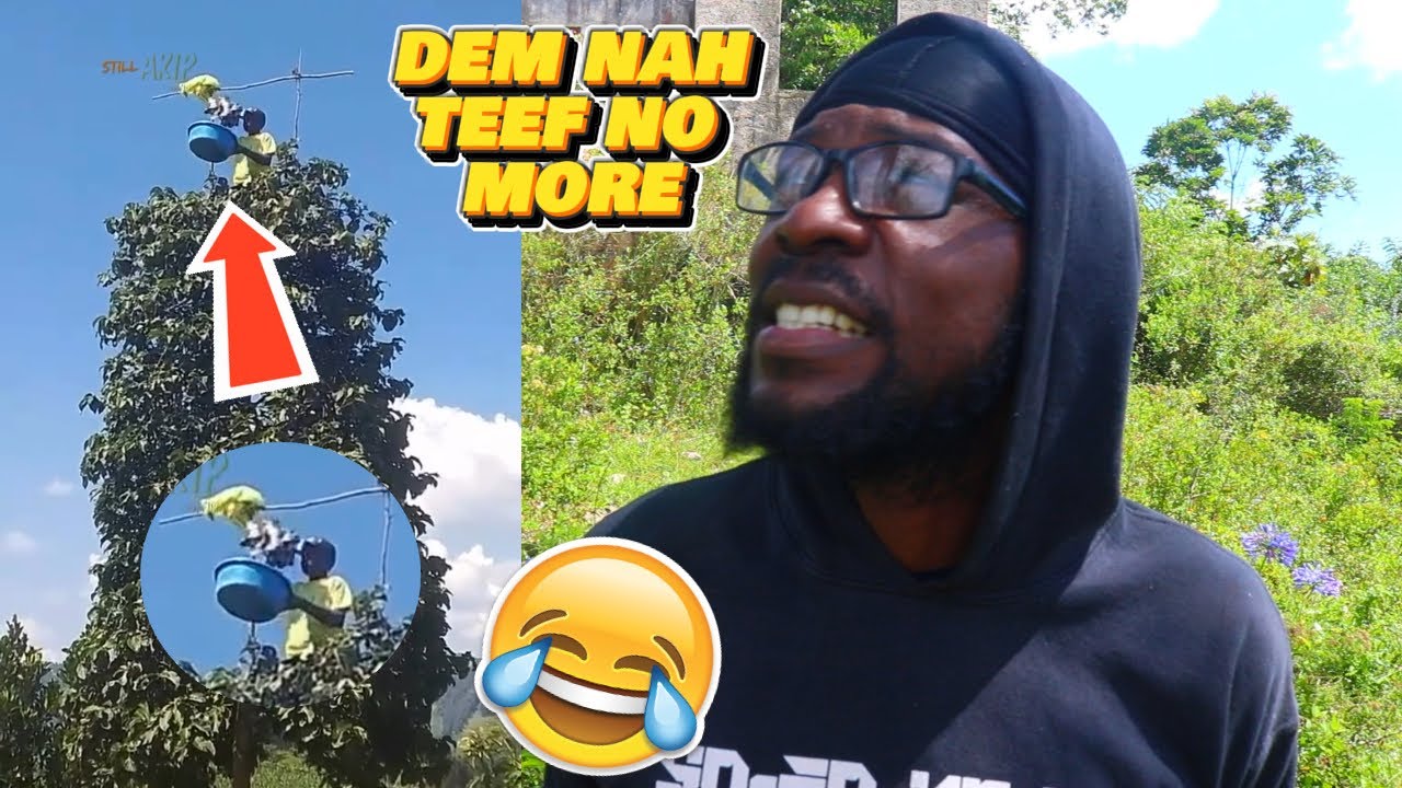 Спрячь Ю Клаат, прежде чем тебе придётся ругаться Клаат🤣🤣🤣 [K2K REACTION S12 Ep #24]
