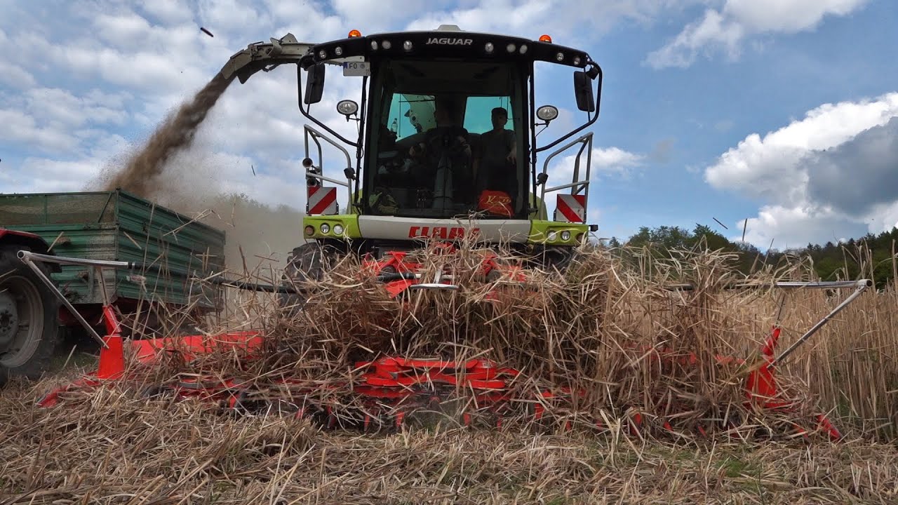 Miscanthus häckseln 2023 | Sound