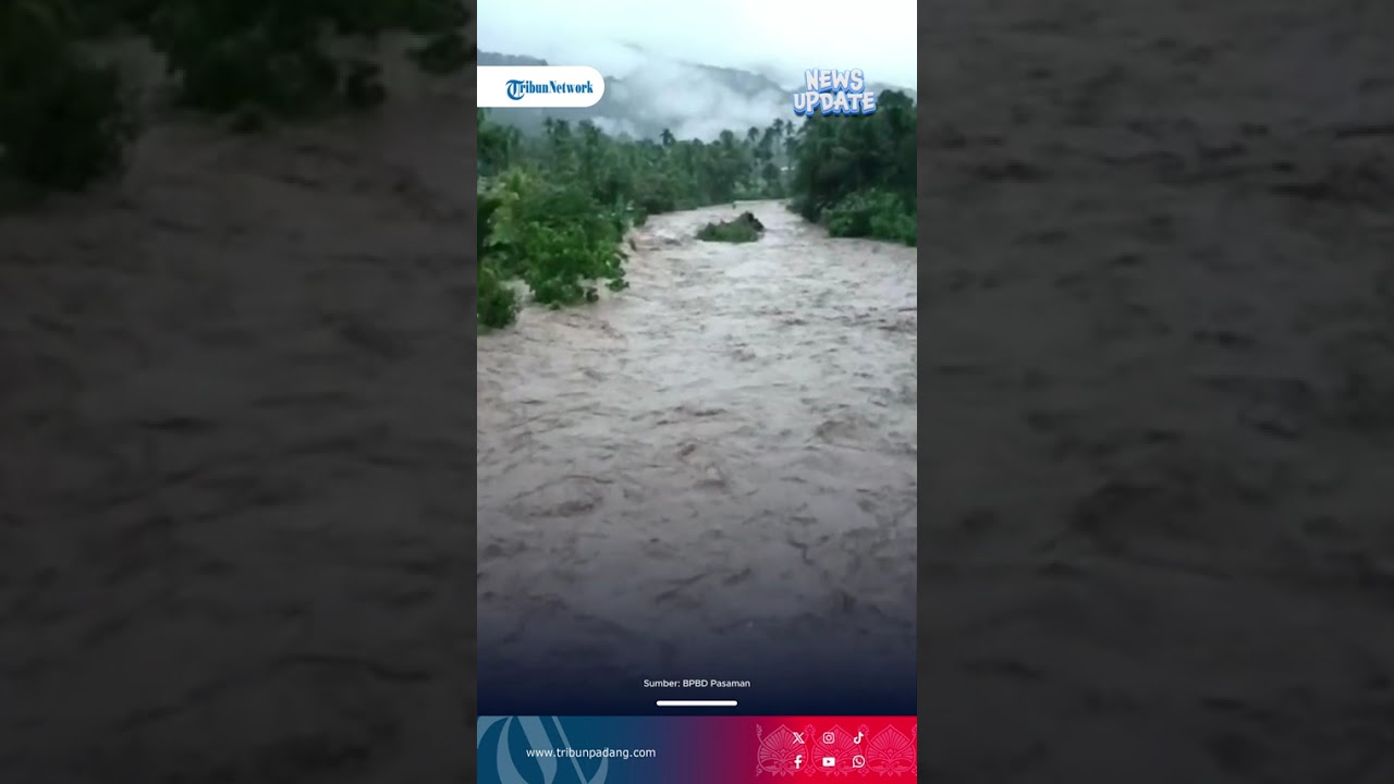 Pasaman Siaga! Banjir Bandang Rusak Jembatan Hingga Lahan Pertanian Warga